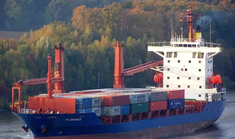 DAMAI SEJAHTERA II Container Ship IMO 9085601