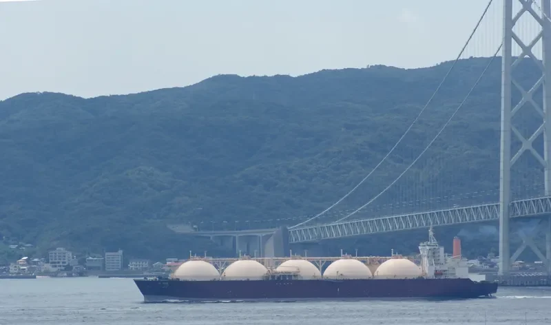 AL KHOR General Cargo IMO 9085613 photo 2