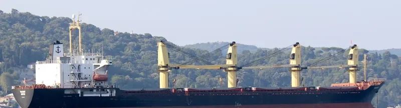 ALKADI BEY Bulk Carrier IMO 9085675 photo 4