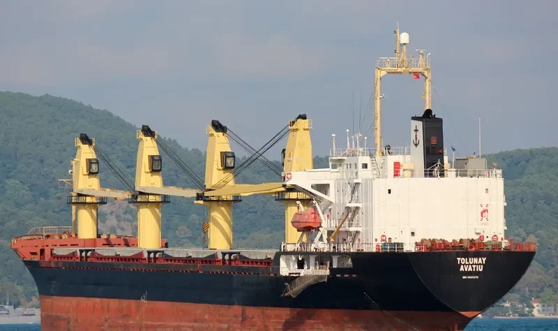 ALKADI BEY Bulk Carrier IMO 9085675 photo 5