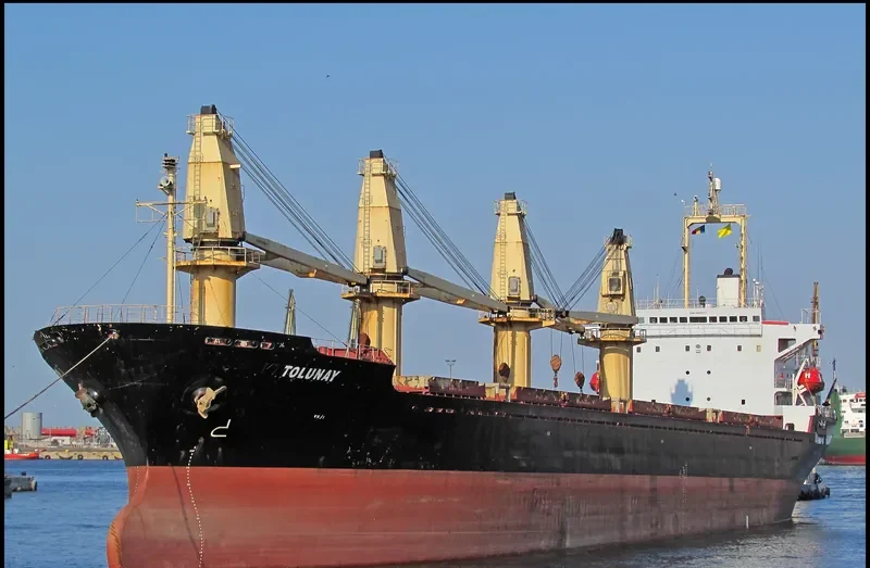 ALKADI BEY Bulk Carrier IMO 9085675 photo 9