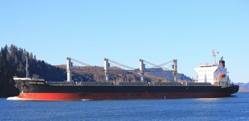 ASAHI MARU Bulk Carrier IMO 9085687 photo 2