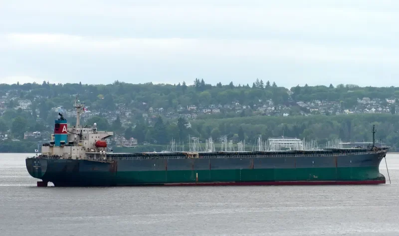 ASAHI MARU Bulk Carrier IMO 9085687 photo 4