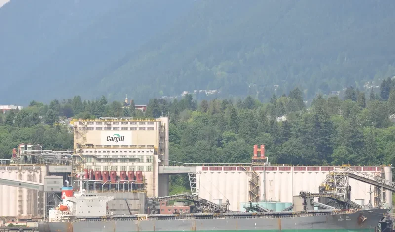 ASAHI MARU Bulk Carrier IMO 9085687 photo 5
