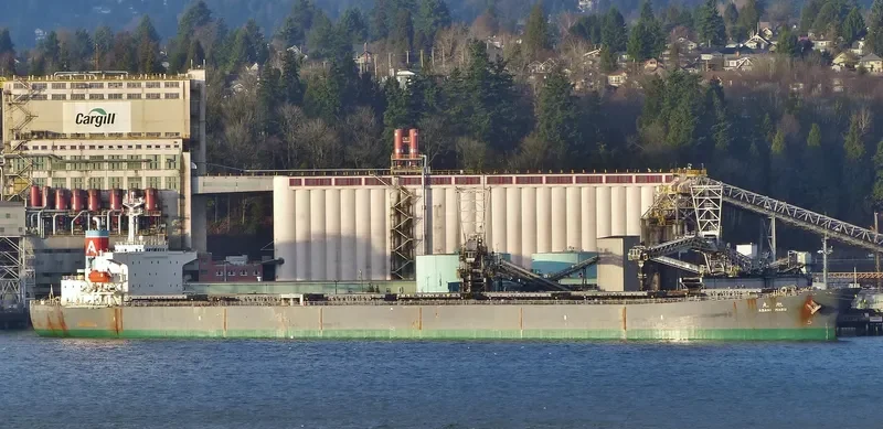 ASAHI MARU Bulk Carrier IMO 9085687 photo 7