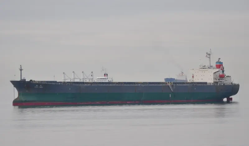 ASAHI MARU Bulk Carrier IMO 9085687 photo 8