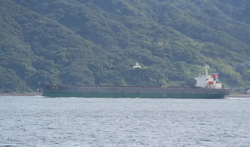 ASAHI MARU Bulk Carrier IMO 9085687 photo 9