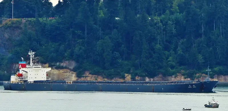 ASAHI MARU Bulk Carrier IMO 9085687 photo 10
