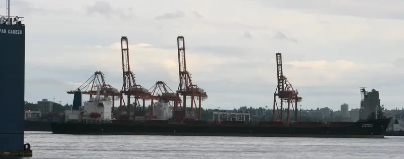 PANAMAX BLESSING Bulk Carrier IMO 9085869 photo 4