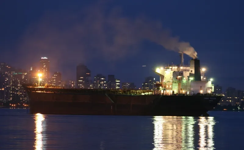 PANAMAX BLESSING Bulk Carrier IMO 9085869 photo 5