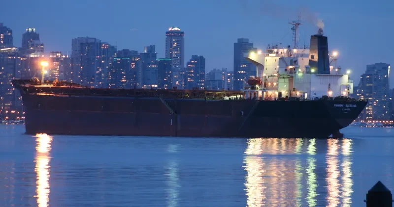 PANAMAX BLESSING Bulk Carrier IMO 9085869 photo 6