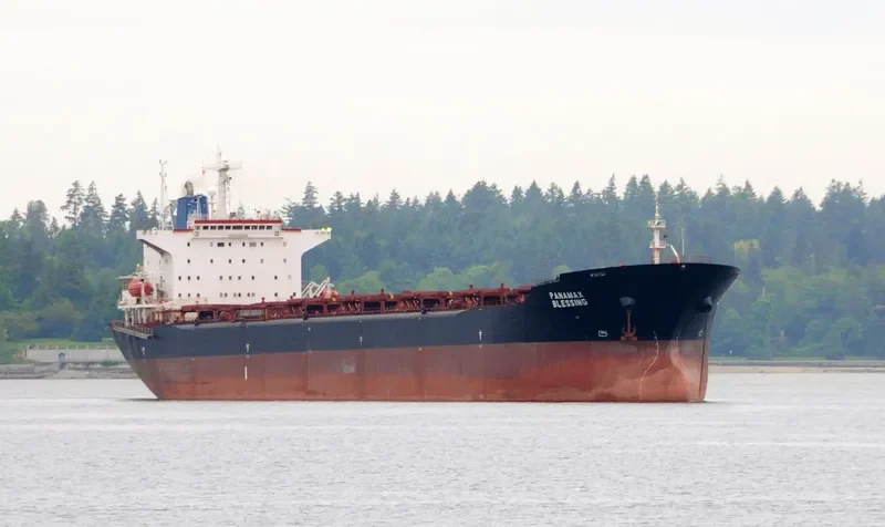 PANAMAX BLESSING Bulk Carrier IMO 9085869 photo 8