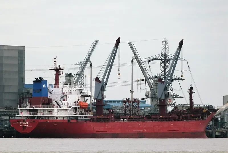 REK KING Bulk Carrier IMO 9085895