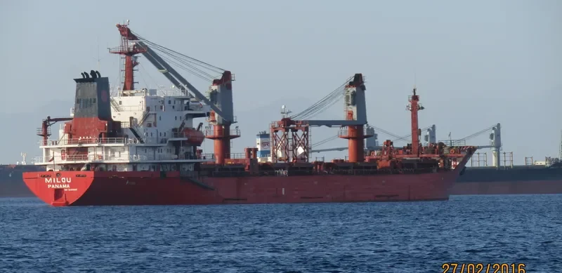 REK KING Bulk Carrier IMO 9085895 photo 2