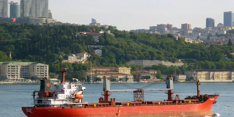 REK KING Bulk Carrier IMO 9085895 photo 3