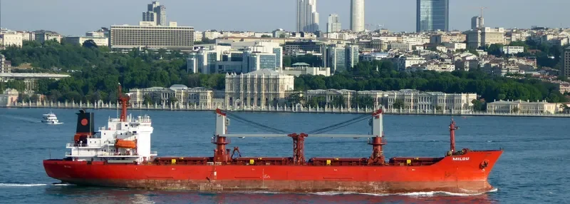 REK KING Bulk Carrier IMO 9085895 photo 4