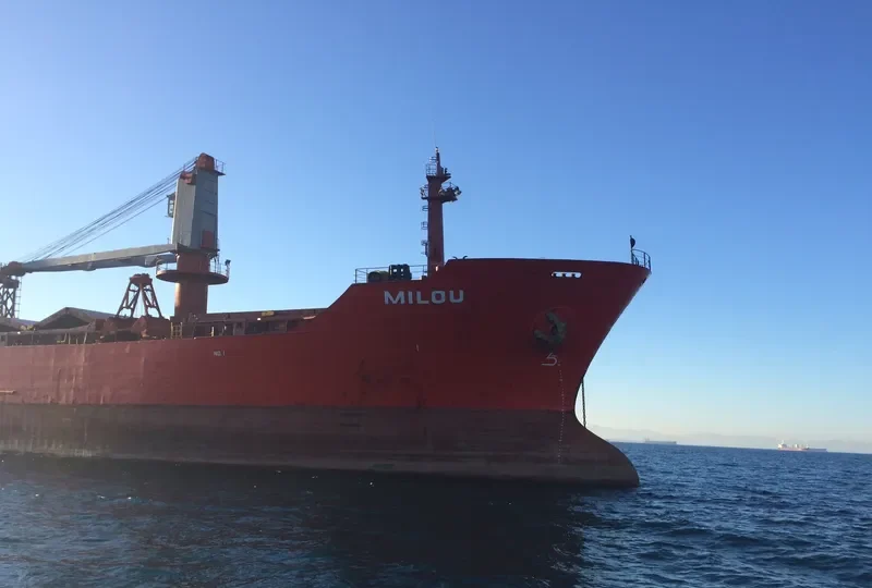 REK KING Bulk Carrier IMO 9085895 photo 5