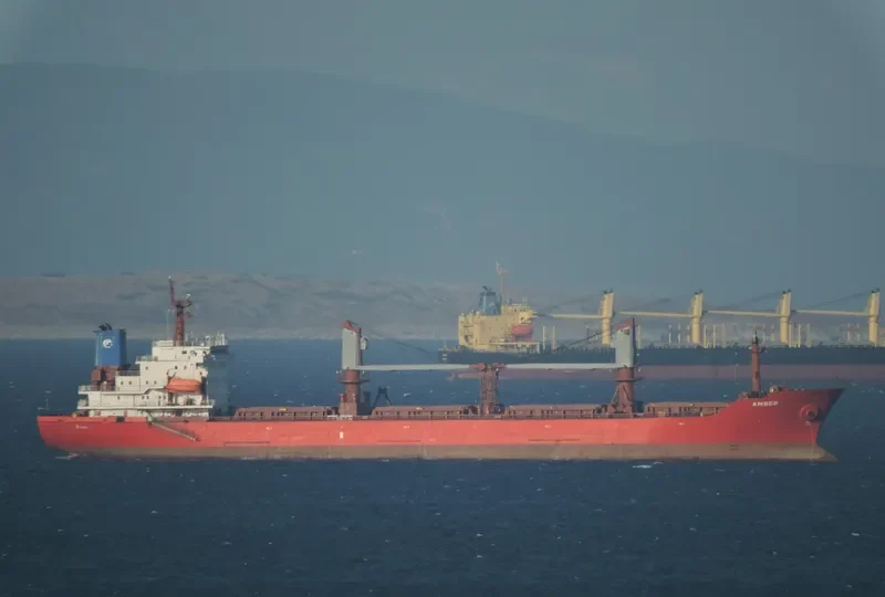 REK KING Bulk Carrier IMO 9085895 photo 6