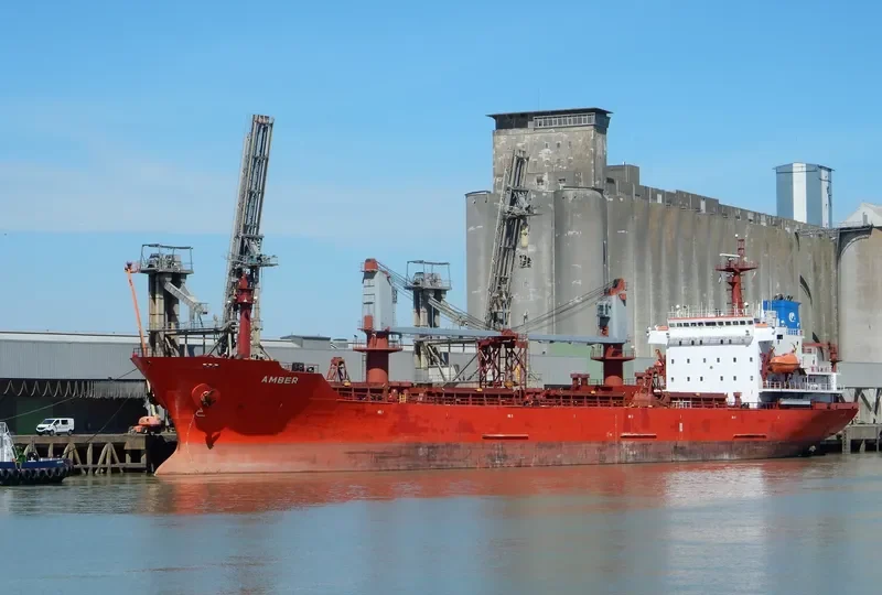 REK KING Bulk Carrier IMO 9085895 photo 8