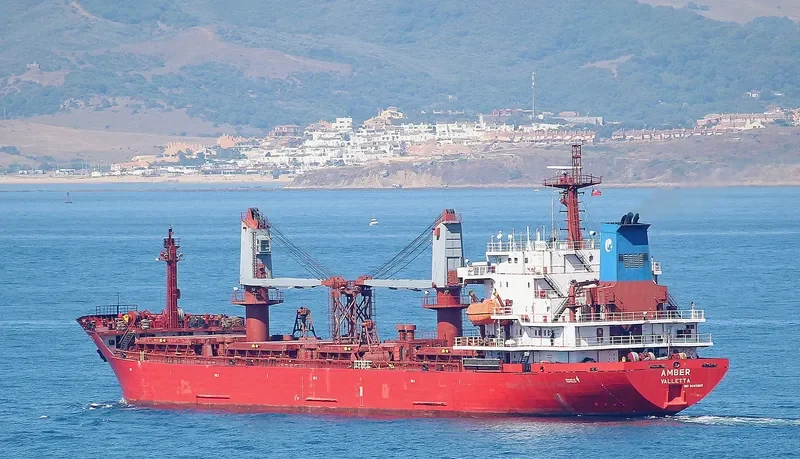 REK KING Bulk Carrier IMO 9085895 photo 9