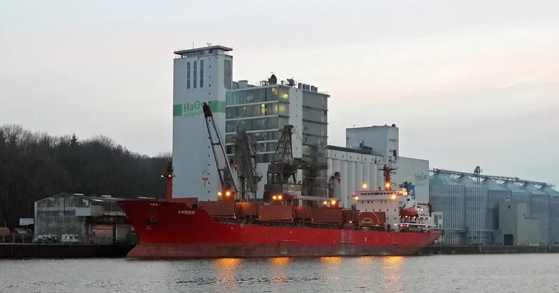 REK KING Bulk Carrier IMO 9085895 photo 10
