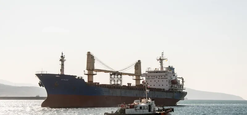 AYYILDIZ Bulk Carrier IMO 9085900 photo 5