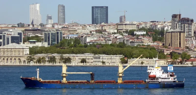 AYYILDIZ Bulk Carrier IMO 9085900 photo 9