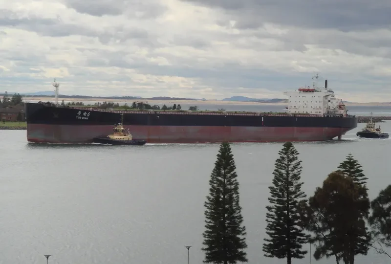 YUE DIAN 6 Bulk Carrier IMO 9086045 photo 2