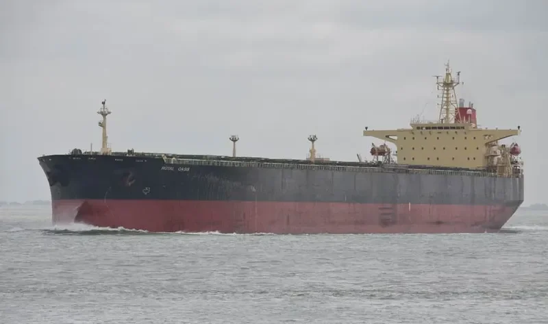 PROSPERITY Bulk Carrier IMO 9086083 photo 2