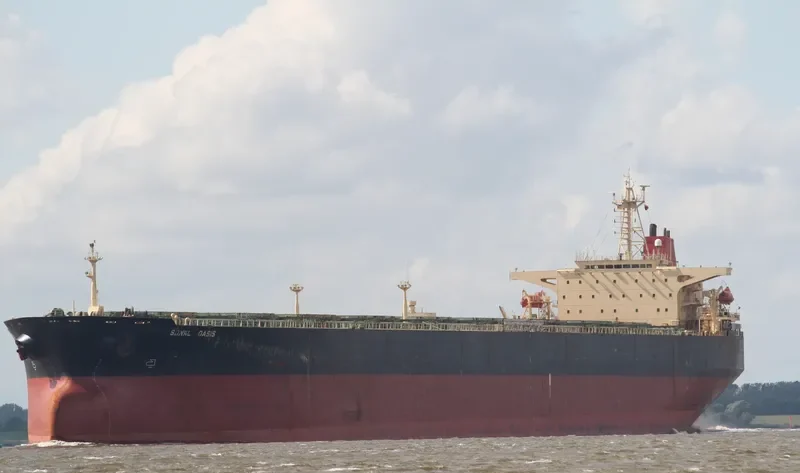 PROSPERITY Bulk Carrier IMO 9086083 photo 10