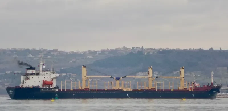 A RACER Bulk Carrier IMO 9086318 photo 4