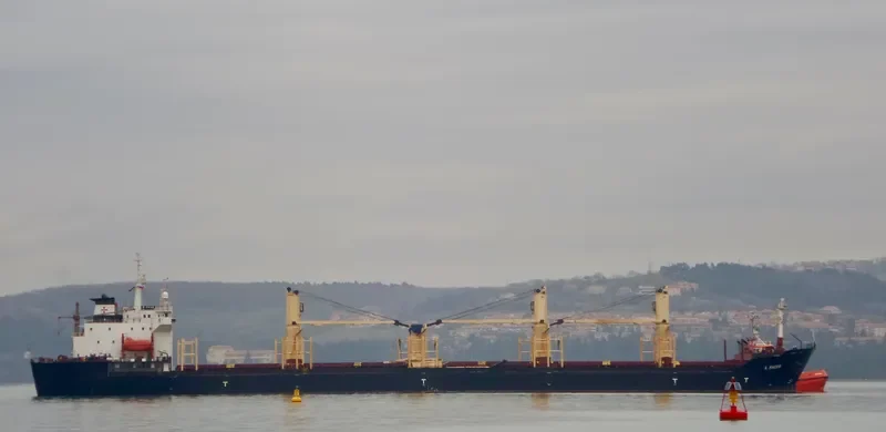 A RACER Bulk Carrier IMO 9086318 photo 5