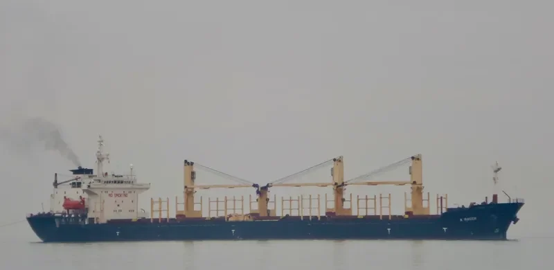 A RACER Bulk Carrier IMO 9086318 photo 6