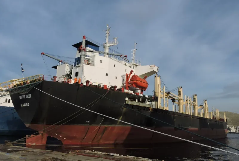 A RACER Bulk Carrier IMO 9086318 photo 7