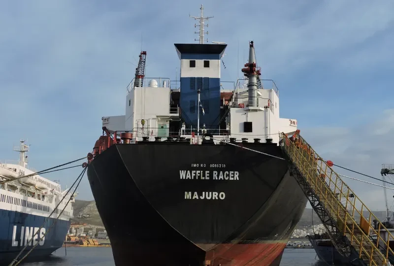 A RACER Bulk Carrier IMO 9086318 photo 8