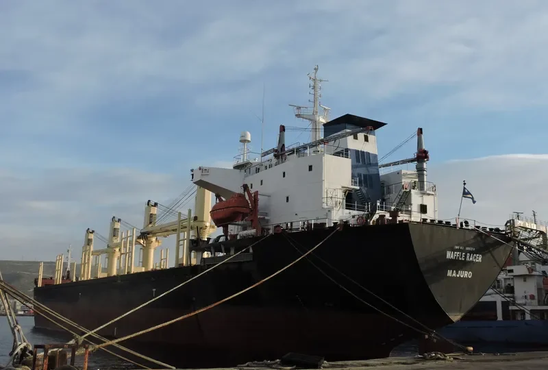 A RACER Bulk Carrier IMO 9086318 photo 9