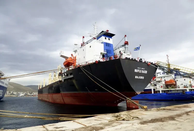 A RACER Bulk Carrier IMO 9086318 photo 10
