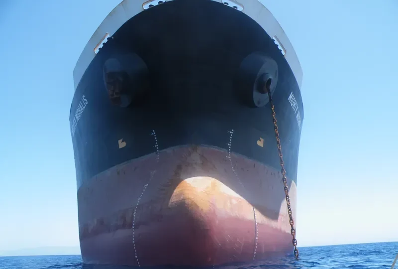 MIGHTY MICHALIS Bulk Carrier IMO 9086710 photo 2