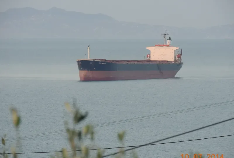 MIGHTY MICHALIS Bulk Carrier IMO 9086710 photo 4