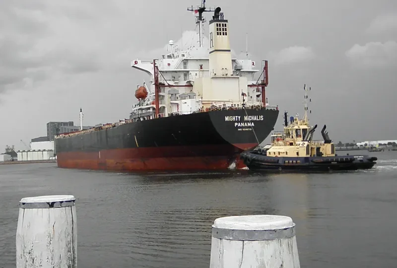 MIGHTY MICHALIS Bulk Carrier IMO 9086710 photo 6