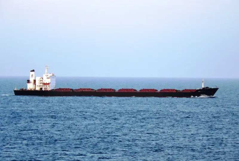 MIGHTY MICHALIS Bulk Carrier IMO 9086710 photo 9