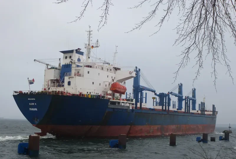 ELENI K Bulk Carrier IMO 9086784 photo 2