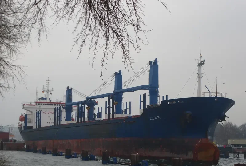 ELENI K Bulk Carrier IMO 9086784 photo 3
