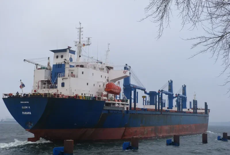 ELENI K Bulk Carrier IMO 9086784 photo 5
