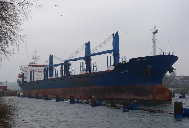 ELENI K Bulk Carrier IMO 9086784 photo 6