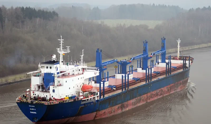 ELENI K Bulk Carrier IMO 9086784 photo 9