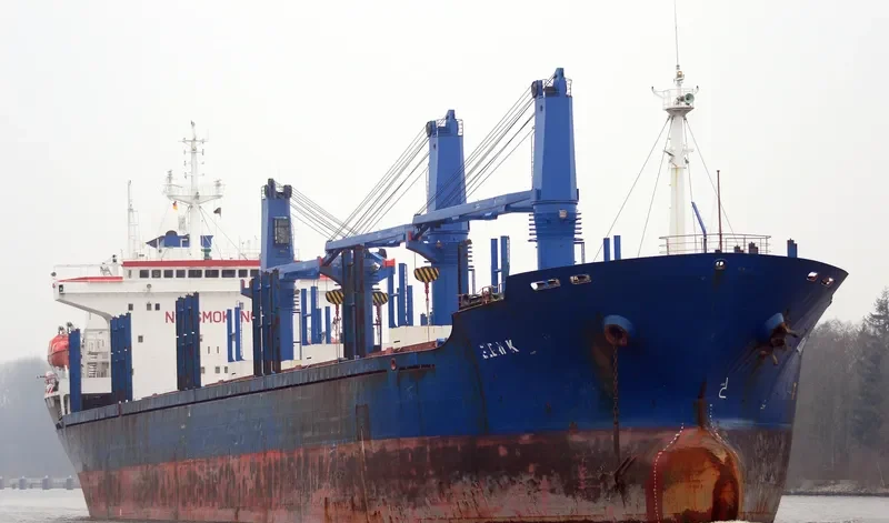ELENI K Bulk Carrier IMO 9086784 photo 10