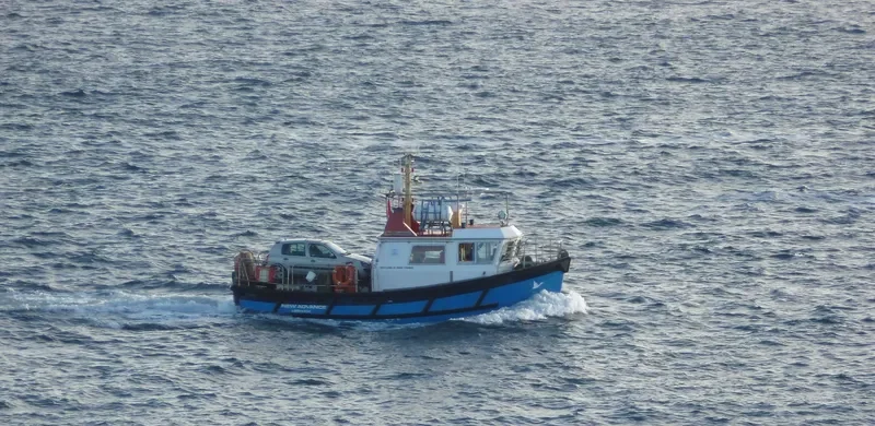 NEW ADVANCE Ro-Ro IMO 9086813 photo 2