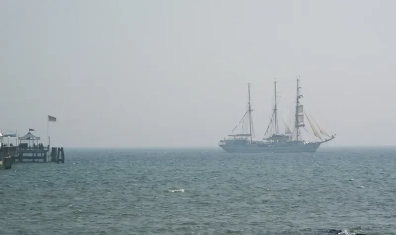 LILI MARLEEN Passenger Ship IMO 9086863 photo 4
