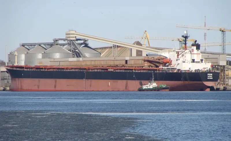AODABAO Bulk Carrier IMO 9086928 photo 6